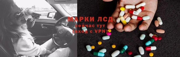 крисы Баксан