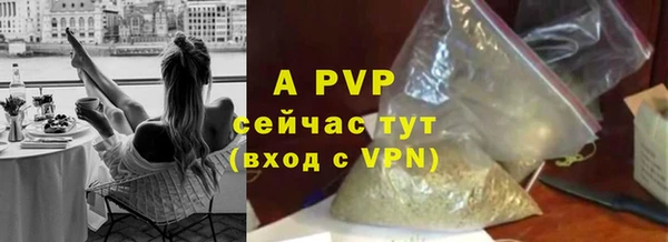крисы Баксан