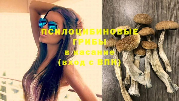 дурь Балахна