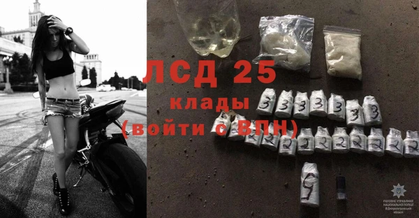крисы Баксан