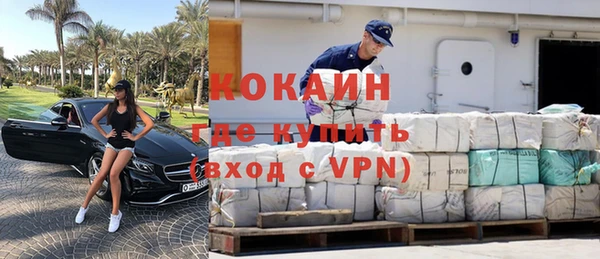 крисы Баксан
