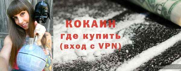 крисы Баксан
