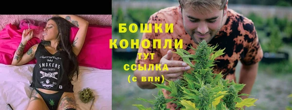 крисы Баксан