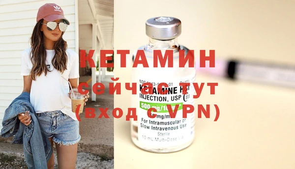 крисы Баксан